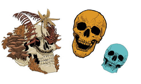 skulls