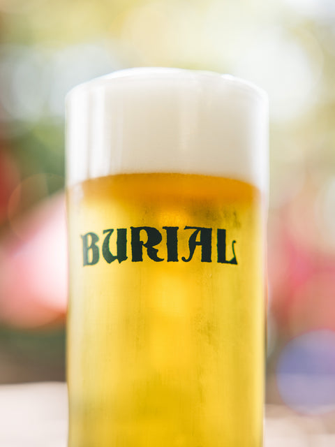 Our Hearts of Ruin Pilsner Glass