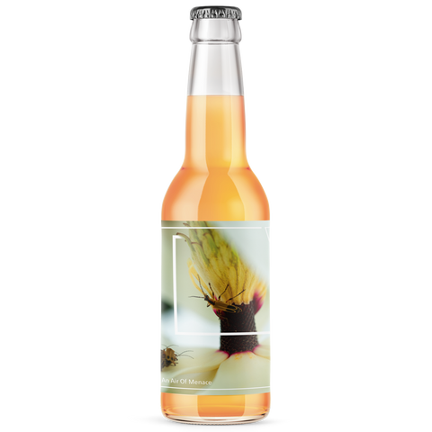VISUALS // Elicit an Air of Menace // Sparkling Cider (collaboration with Botanist & Barrel)